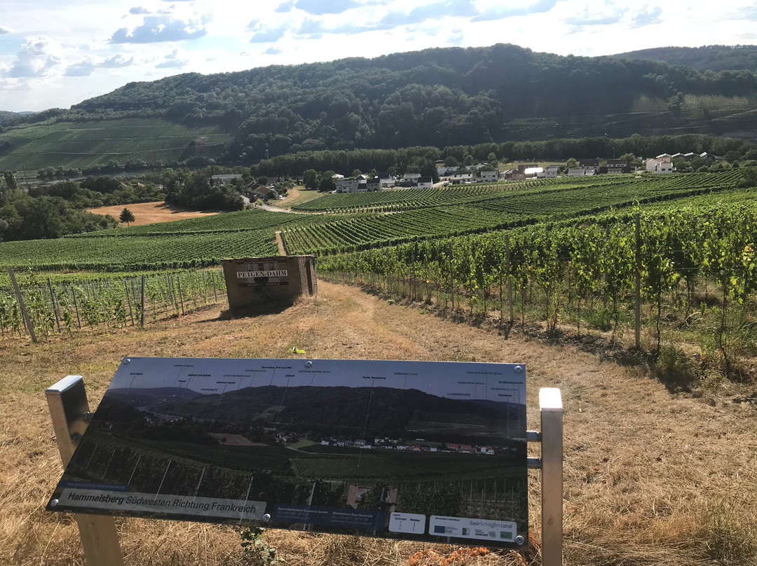 Aussichtspunkt Dreilandereck