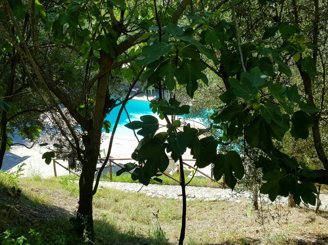 Agriturismo La Turritella主图