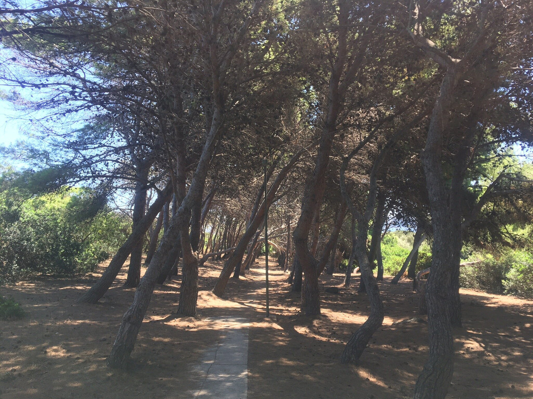 Spiaggia di Peonia Rosa-Sant'Antioco必去景点