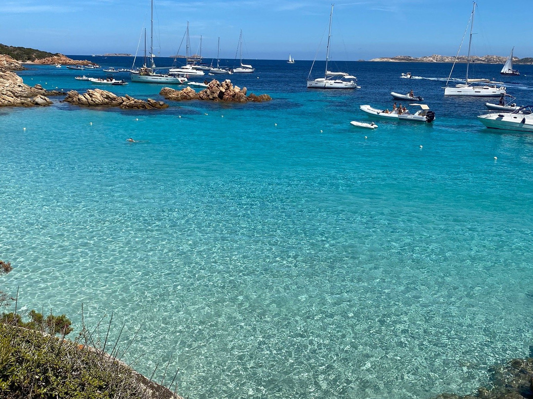 zefiro tour in catamarano nell'arcipelago di La Maddalena-拉马达莱娜必去景点