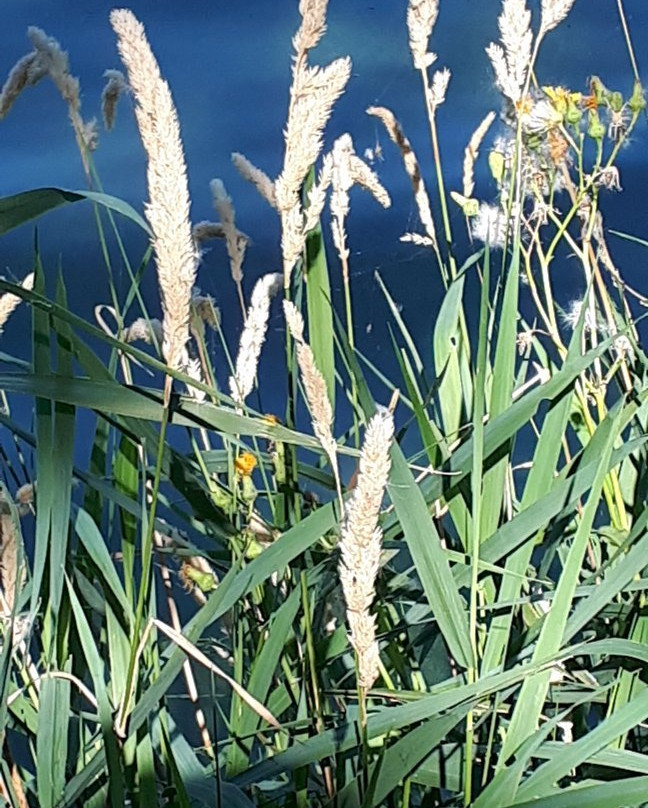 Erin Park-Killarney必去景点