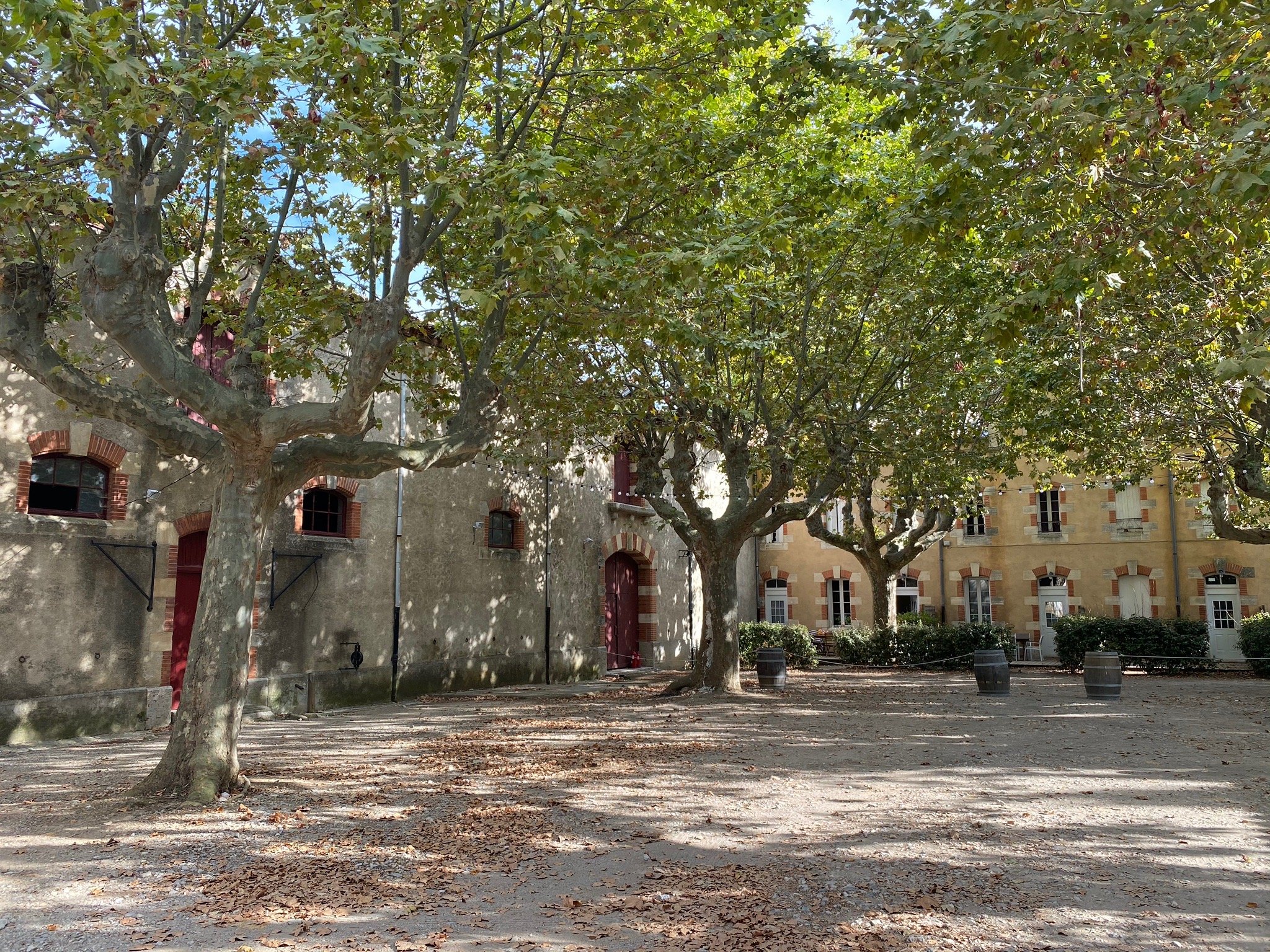 Château Le Vergel Authenac-官方