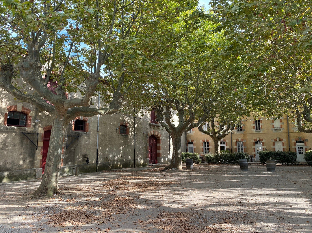 Château Le Vergel Authenac主图