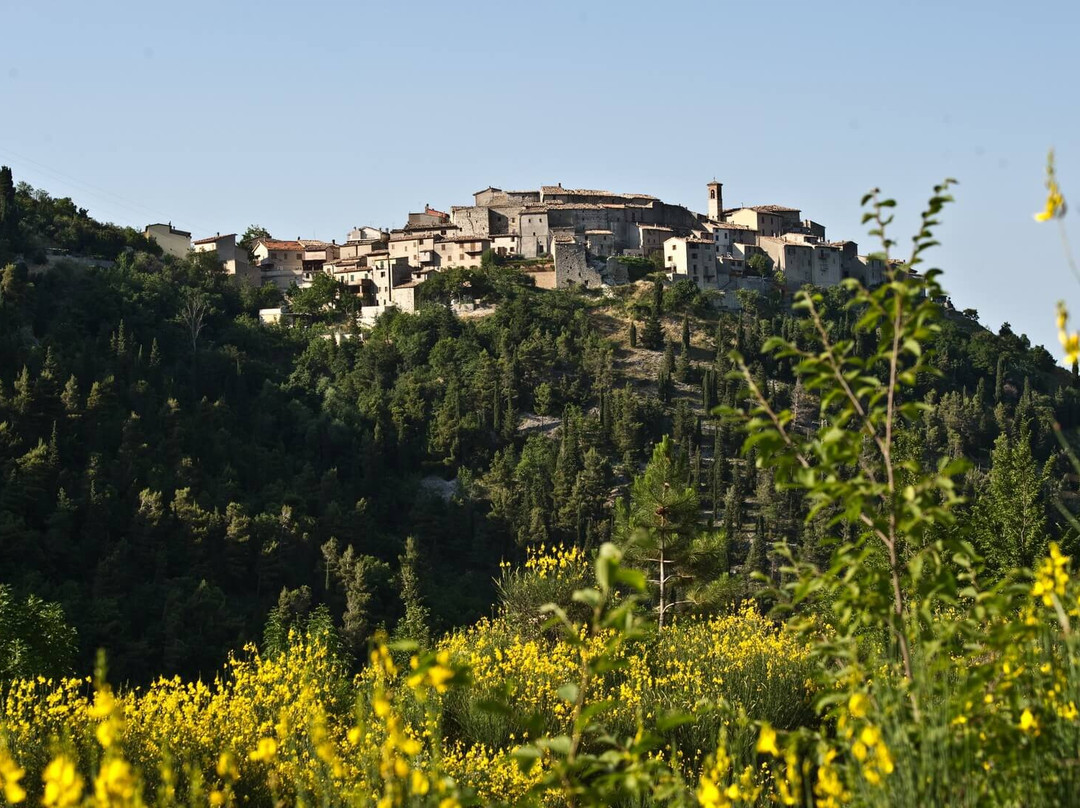 B&B La Casina del Vicolo di Sotto主图