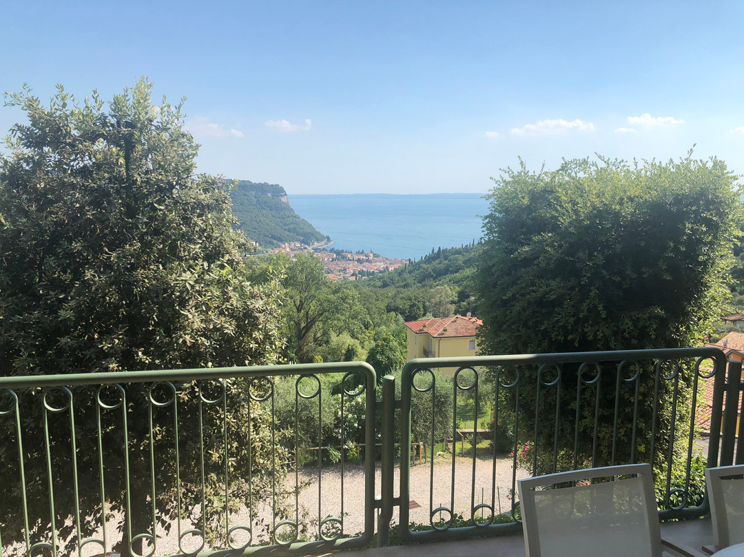 马德利嘉雷酒店主图