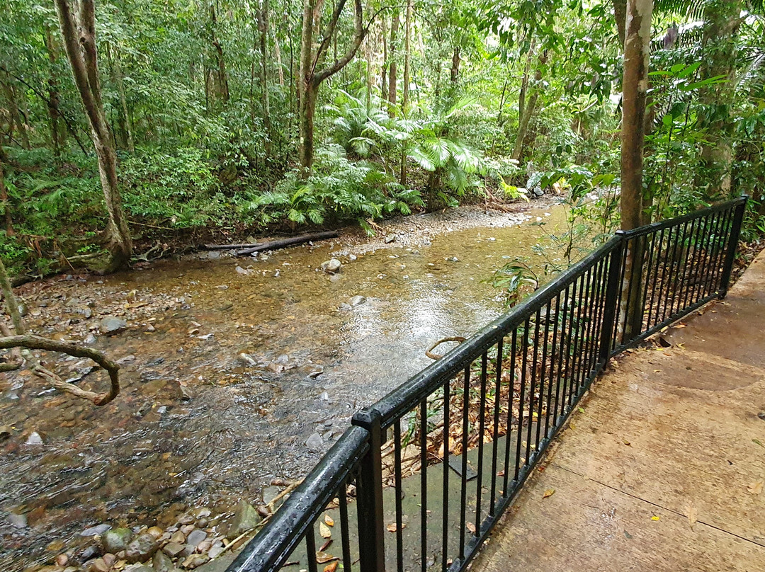 Marrdja Botanical Walk-Cape Tribulation必去景点