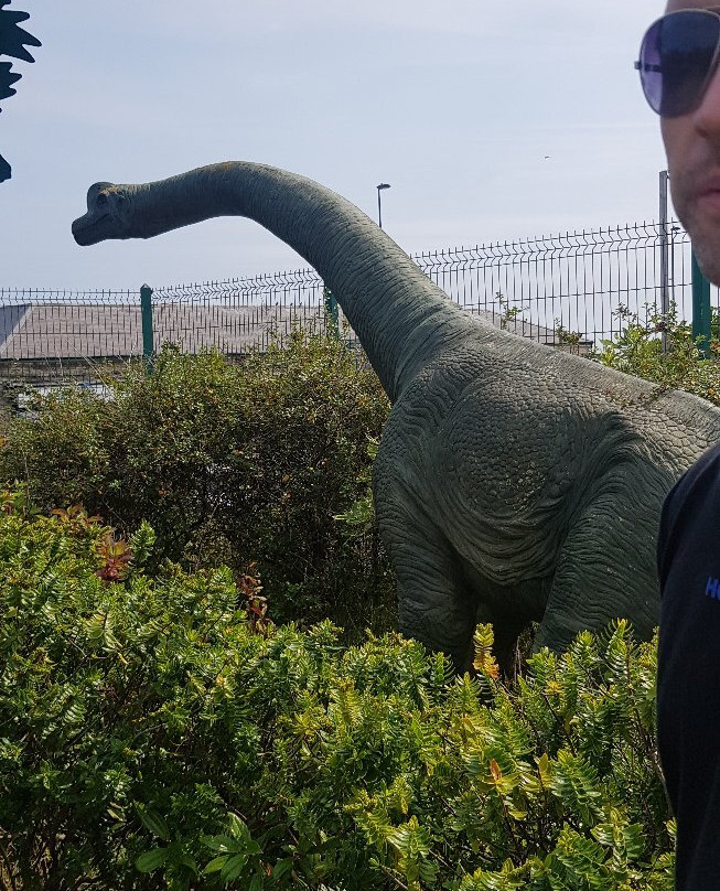 Tynemouth Park-泰恩茅斯必去景点