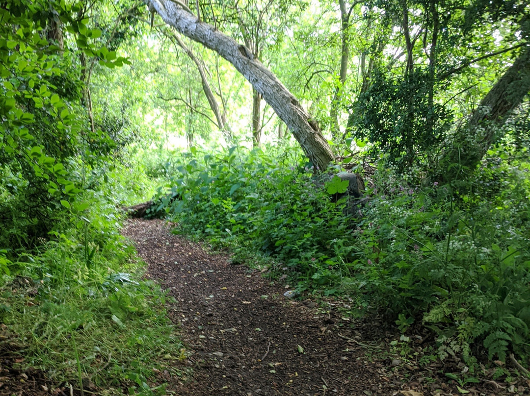 Fairfield Nature Reserve-兰开斯特必去景点