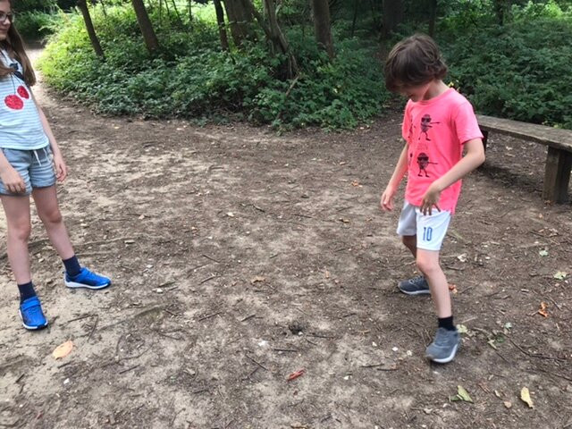Banstead Woods景点图片