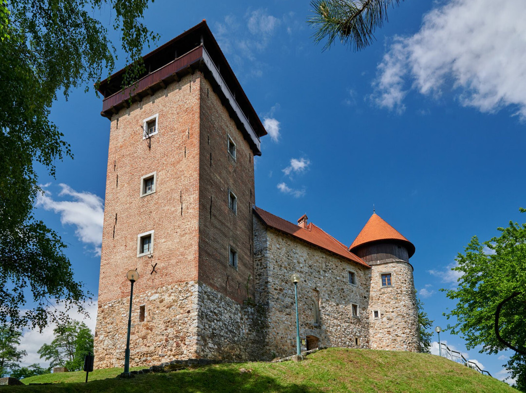 Dubovac Castle景点图片