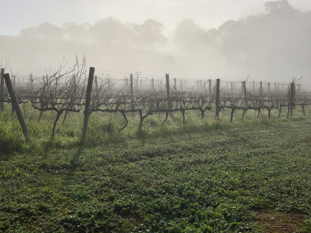 Longview Vineyard - Adelaide Hills主图