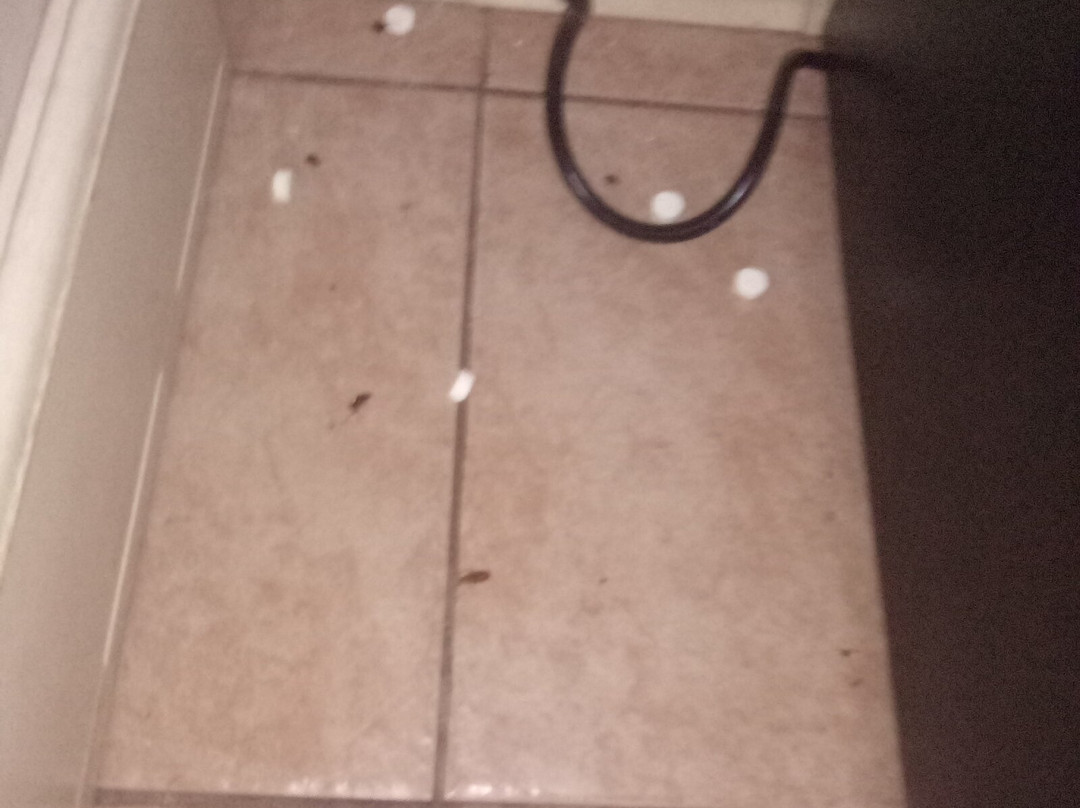 热带海滩汽车旅馆主图