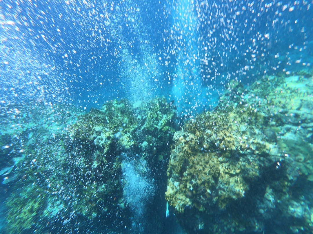 Aqua Action Dive Center-East End必去景点