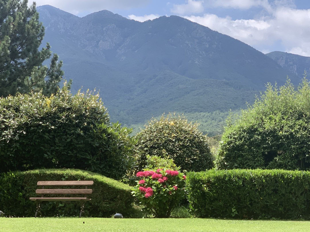 Gran Castanyer主图