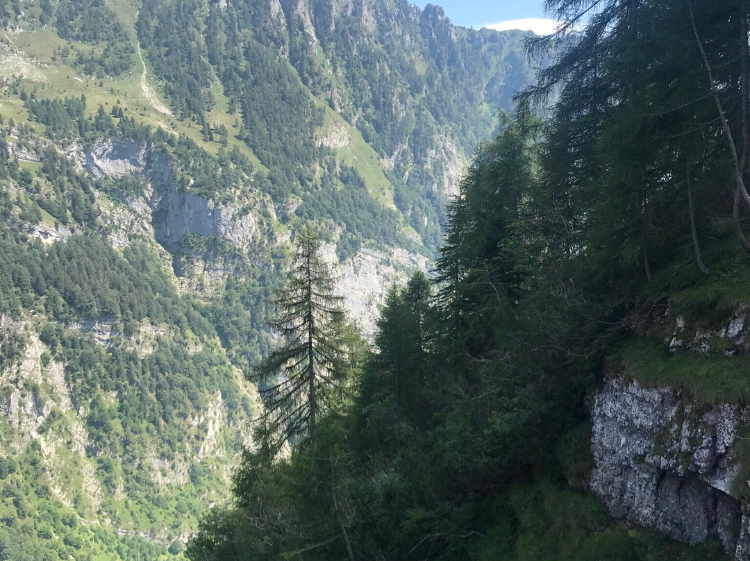 Appartamenti Ciclamino