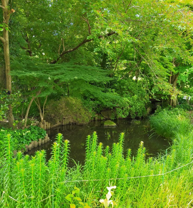 Akatsuka Botanical Gardens-板桥区必去景点