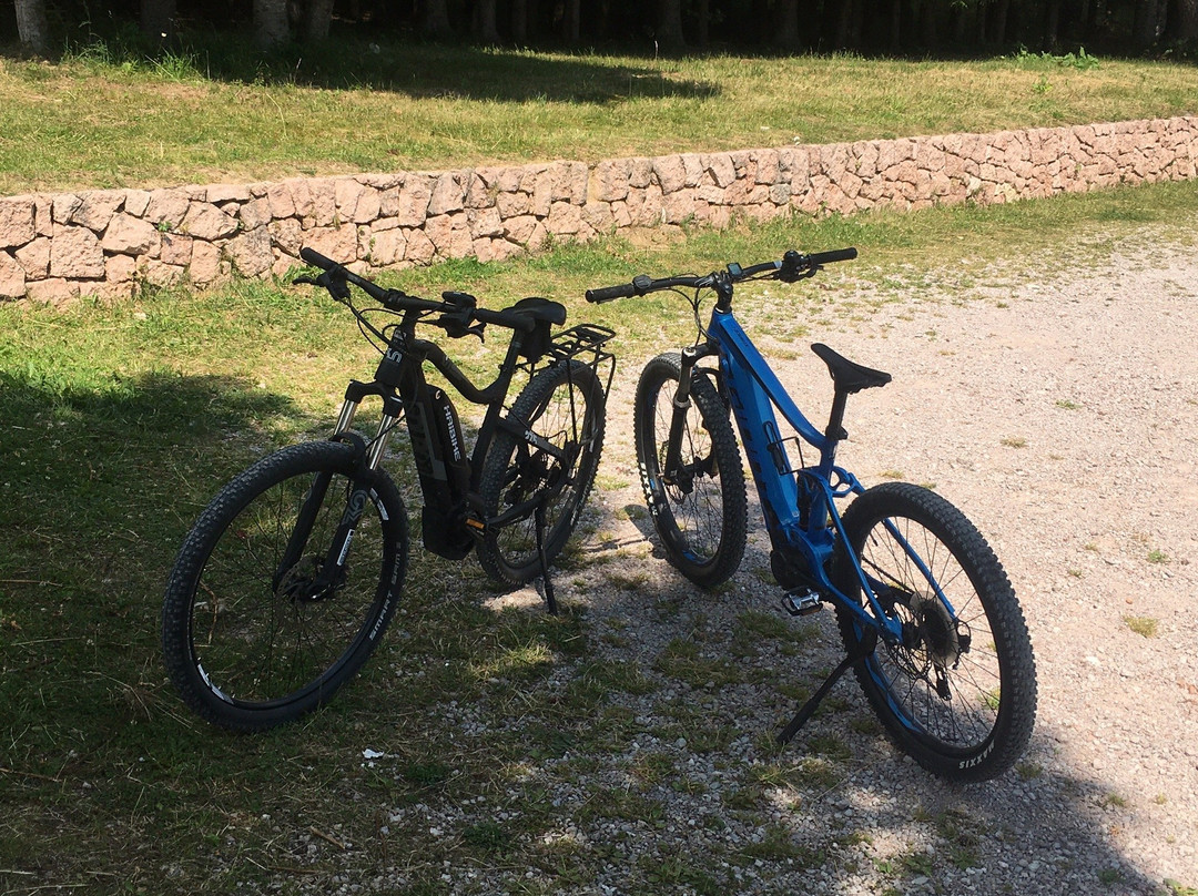Noleggio Sci e bike elettriche Degasperi景点图片