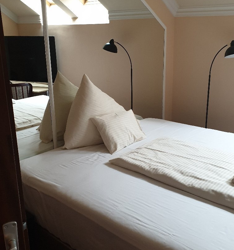 Kaiser Panzio Hotel主图