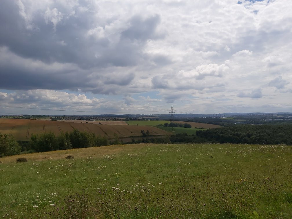 Rabbit Ings Country Park-Royston必去景点