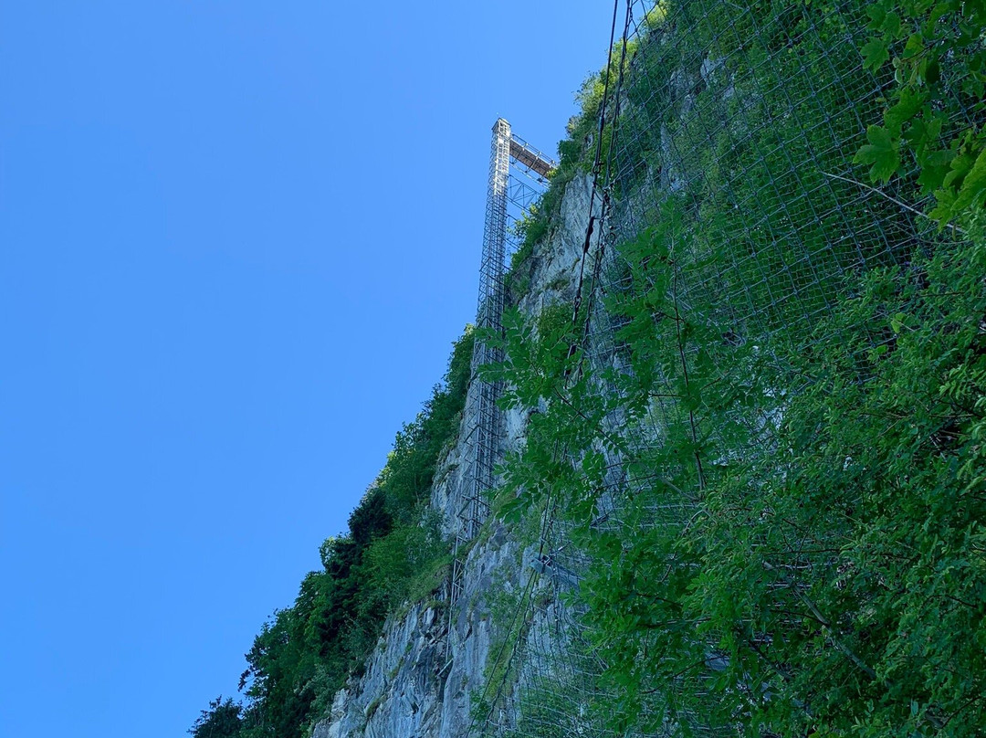 Hammetschwand Lift景点图片