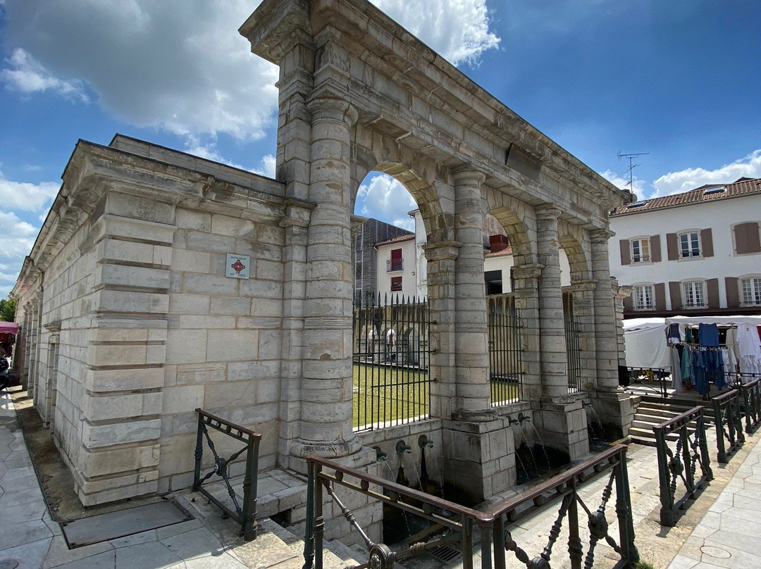 La Fontaine Chaude de la Nèhe景点图片