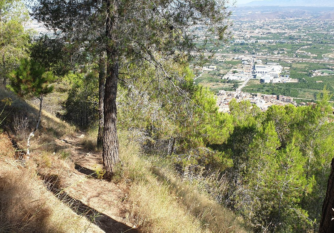 Cueva de Antonete Galvez