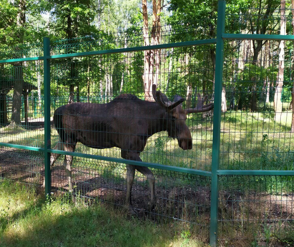 Belgorod Zoo景点图片