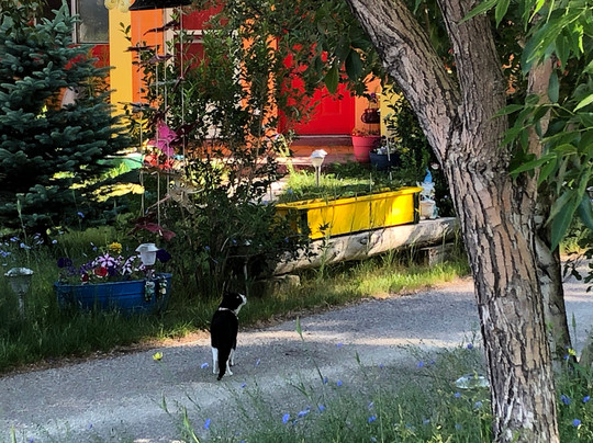 Lost River Motel主图