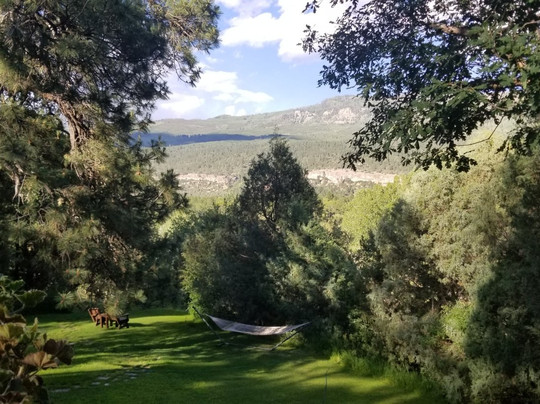 Country Sunshine Bed and Breakfast主图