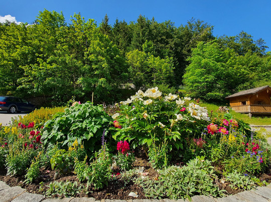 Hotel Mauthausl主图