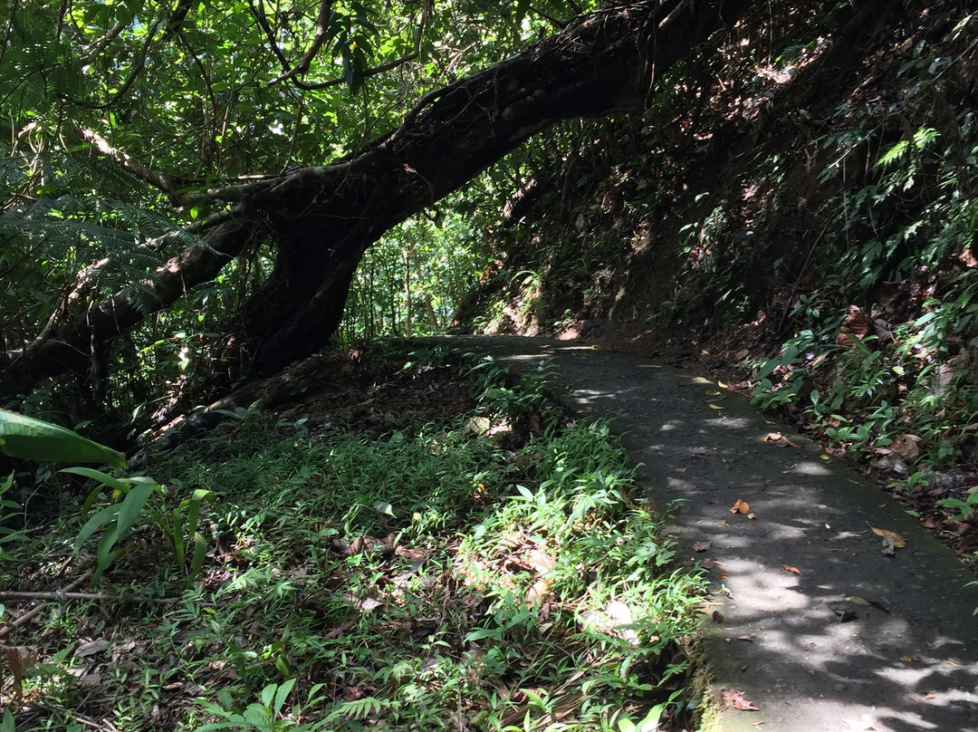Bulusan Lake-Bulusan必去景点