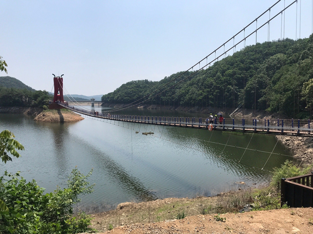 Cheonjang Lake Suspension Bridge-青阳郡必去景点