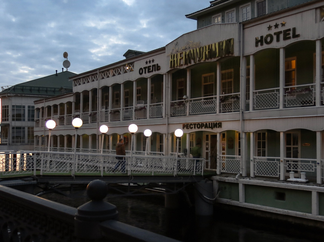 Volzhskaya Zhemchuzhina Hotel主图