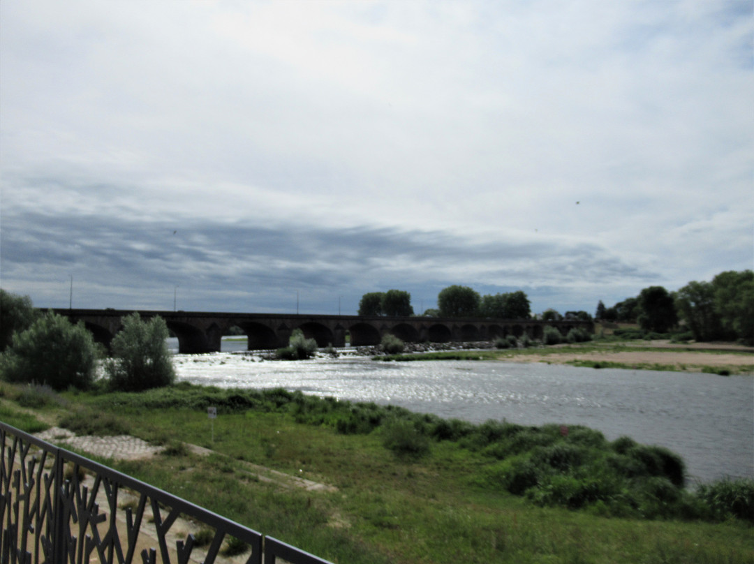 Pont de Loire景点图片