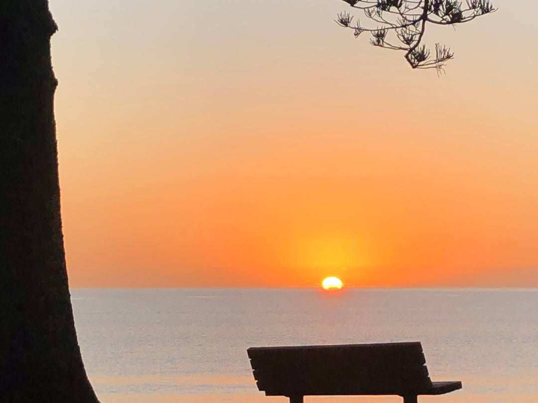 Browns Bay Beach景点图片