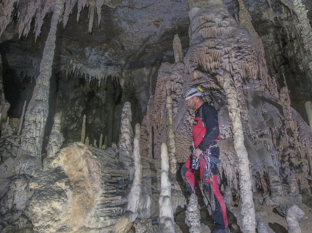 Pedro Carazo Delgado