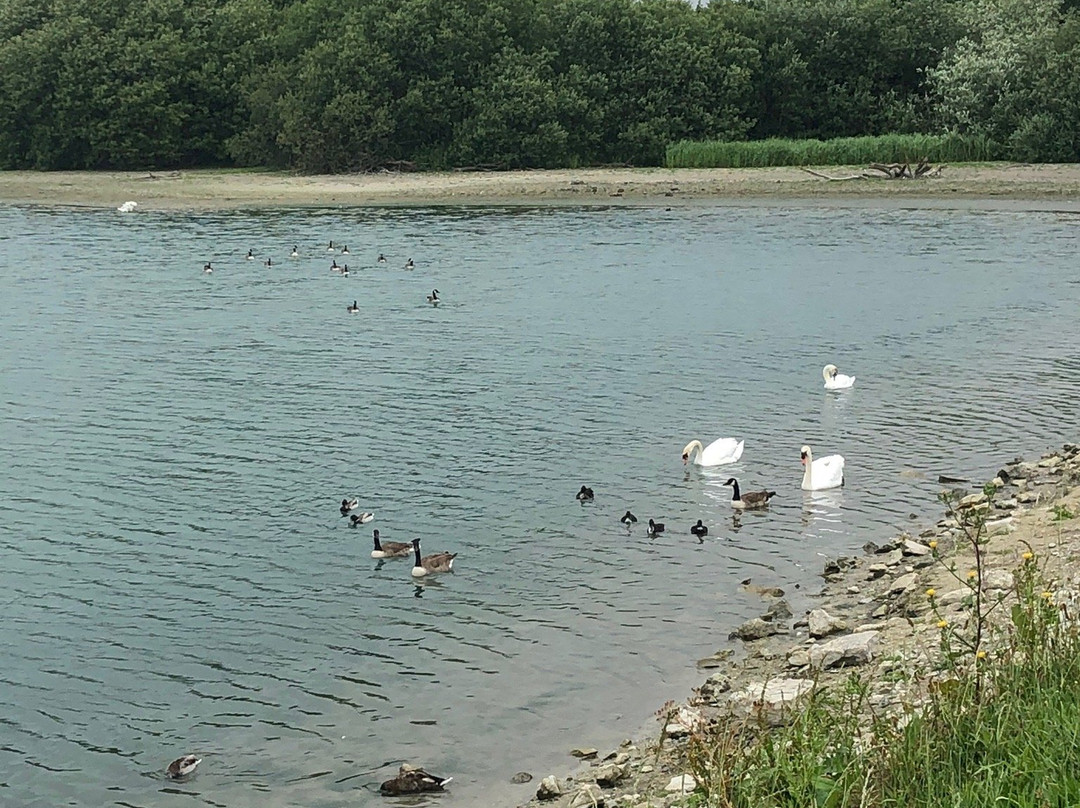 Canalside Reservoirs-Tring必去景点