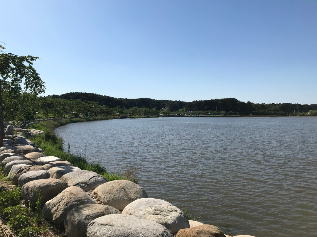 Gyeongpoho Lake-江陵市必去景点