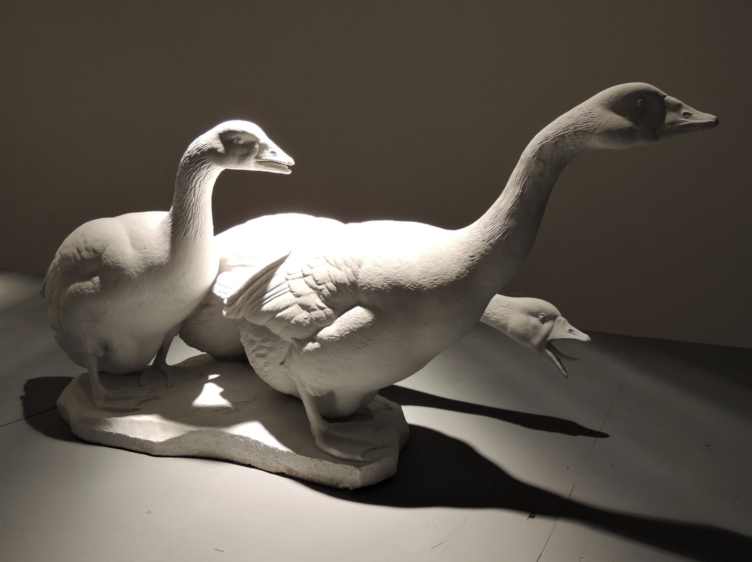 Museo Provincial de Bellas Artes Franklin Rawson景点图片