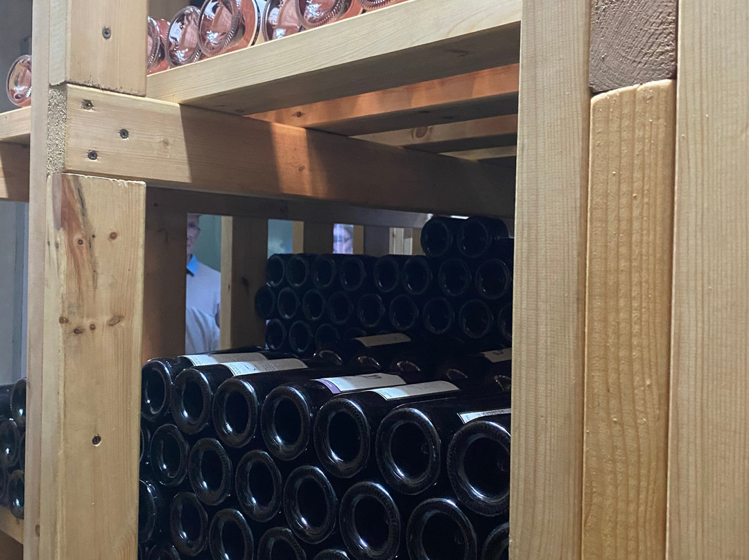 Kadma Winery-Kfar Uriah必去景点