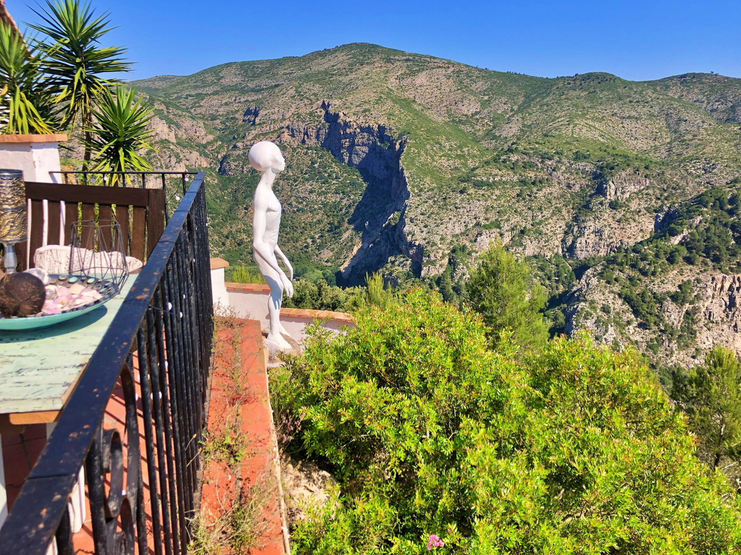 Casa Tarsan Vegan Eco Lodge主图