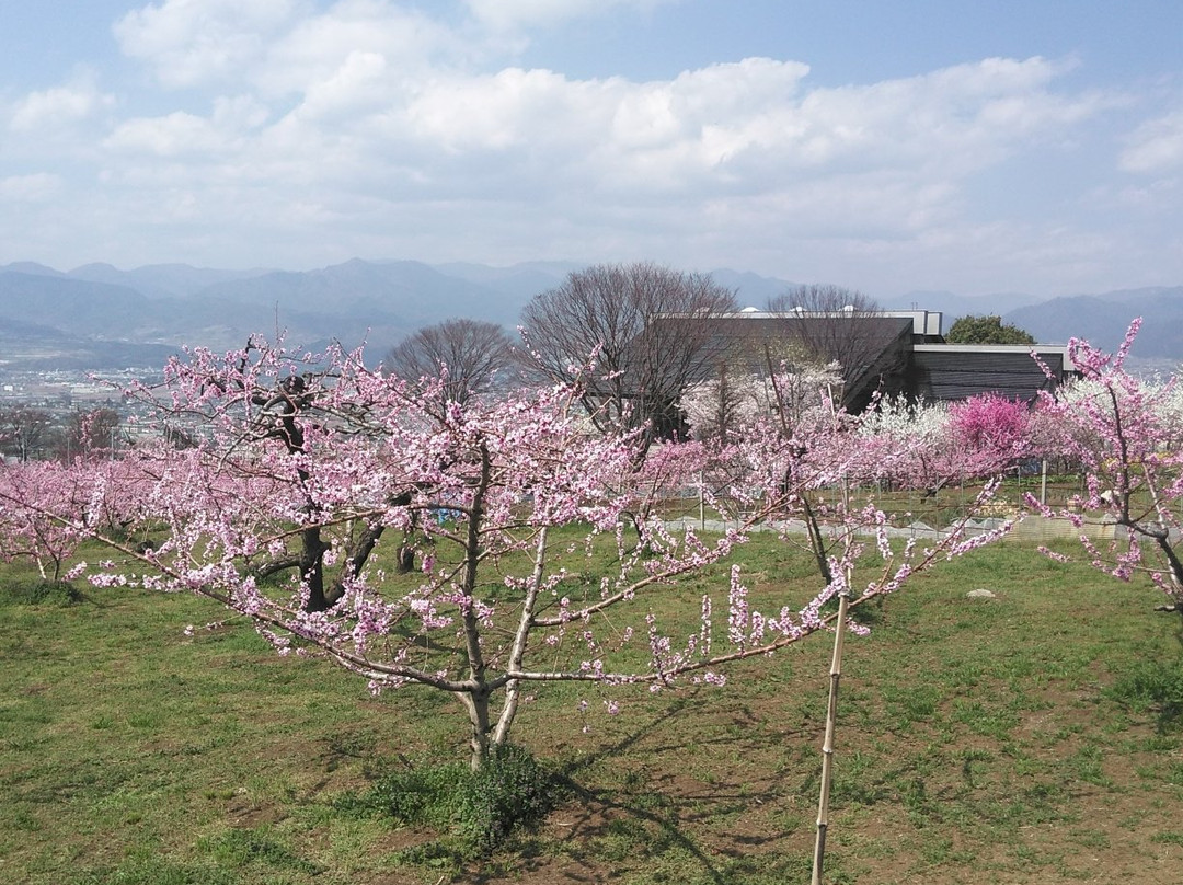 Fuefuki Togenkyo景点图片