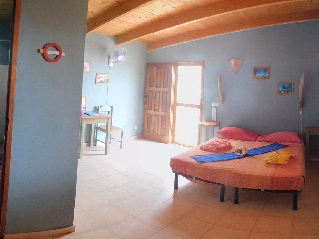 Tortuga Bed & Breakfast主图