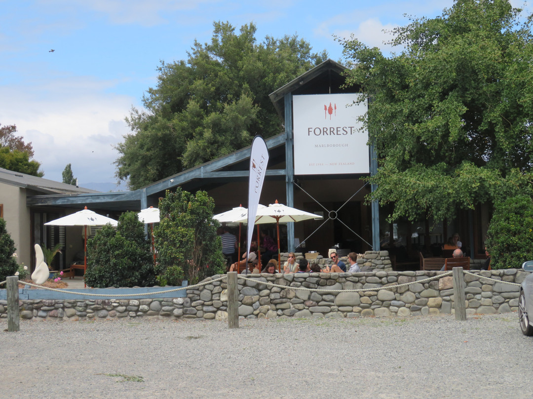 Forrest Wines Cellar Door景点图片