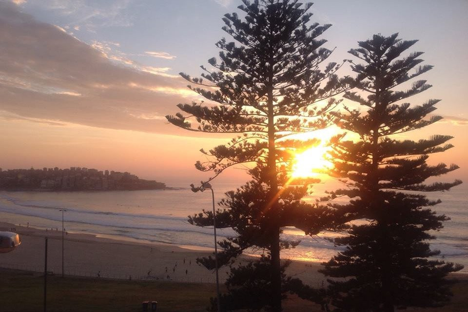 The Bondi Retreat景点图片