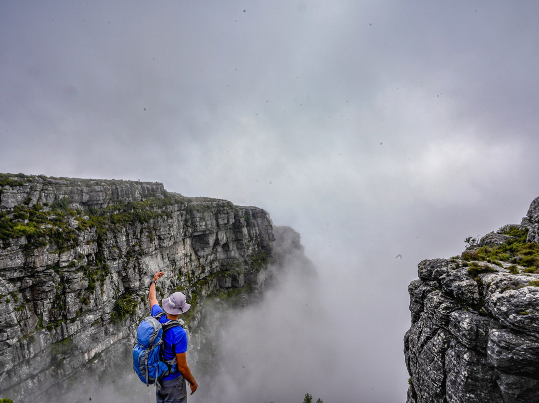 The Cape Town Local-开普敦中心区必去景点