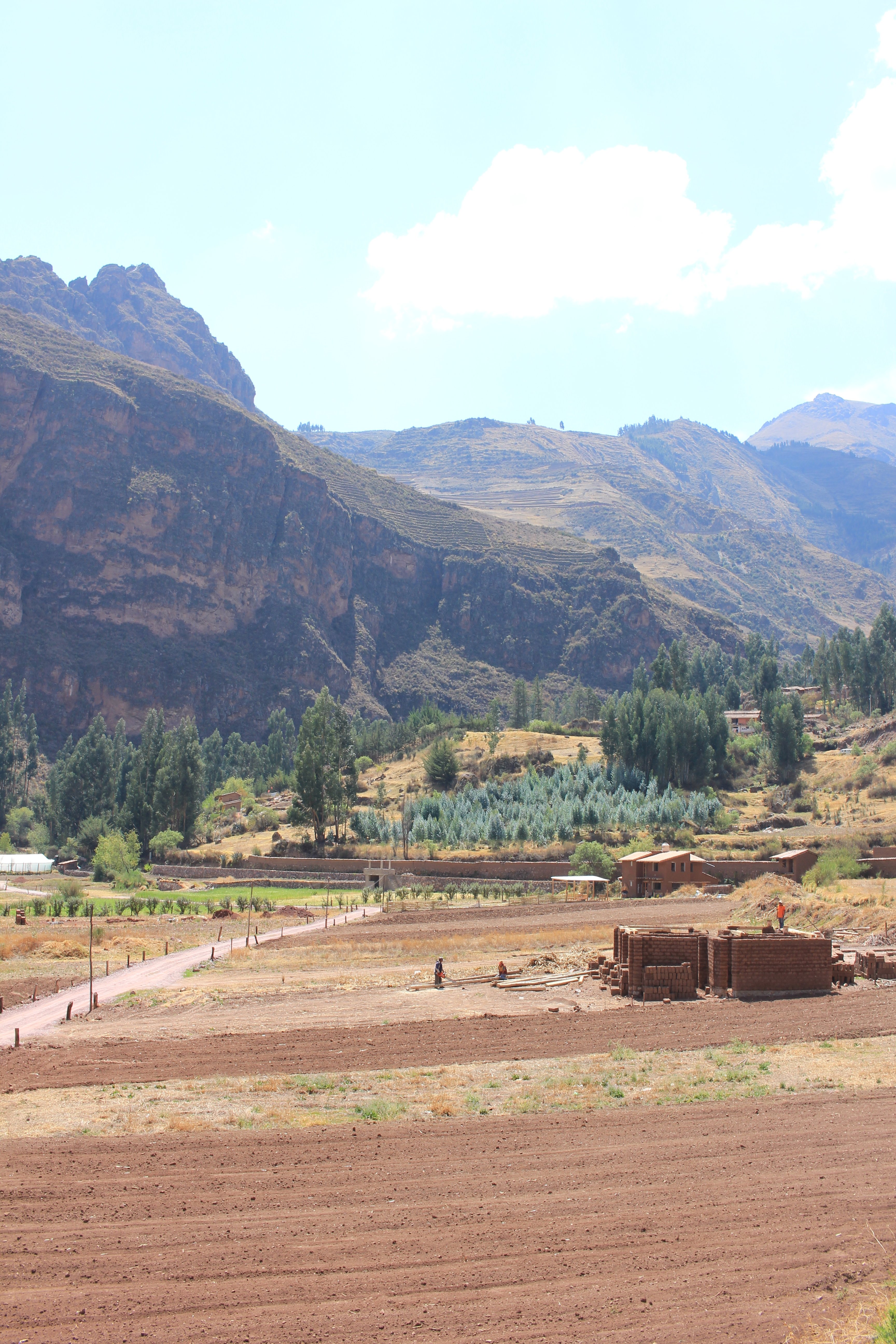Hatha Art Yoga Pisac-portrait
