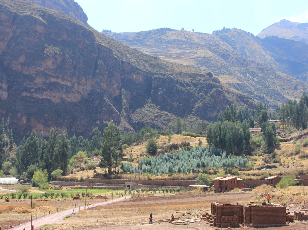 Hatha Art Yoga Pisac主图