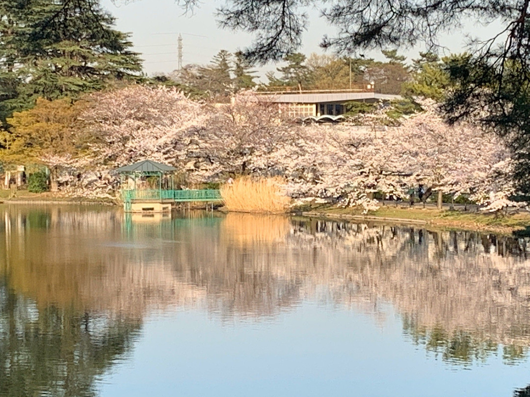 Saitama Prefecture Omiya Park景点图片