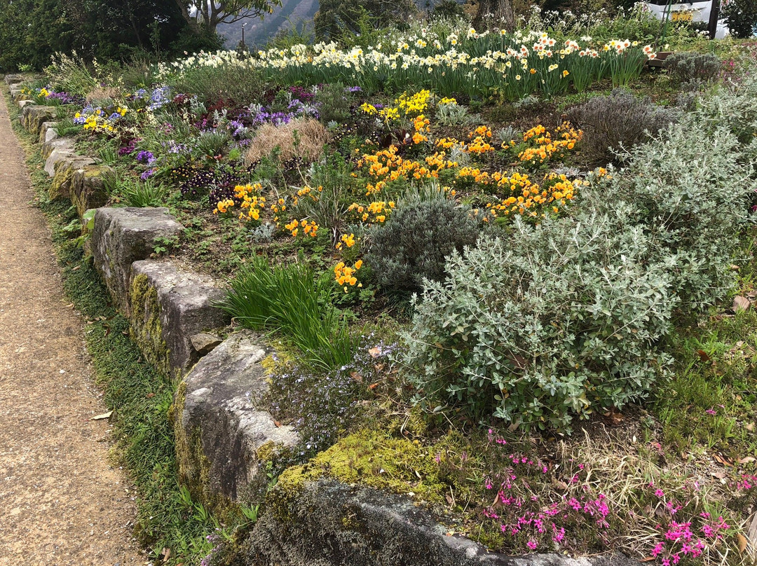 Aromatic Forest Park-邑南町必去景点